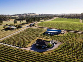 Grenache House with Beautiful Vineyard Views, Clare